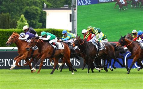 Découvrir les secrets des courses de chevaux : Miroir PMU.